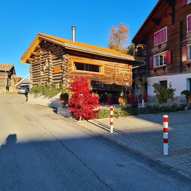 Bed and Breakfast Chesa Prema Disentis Exterior foto